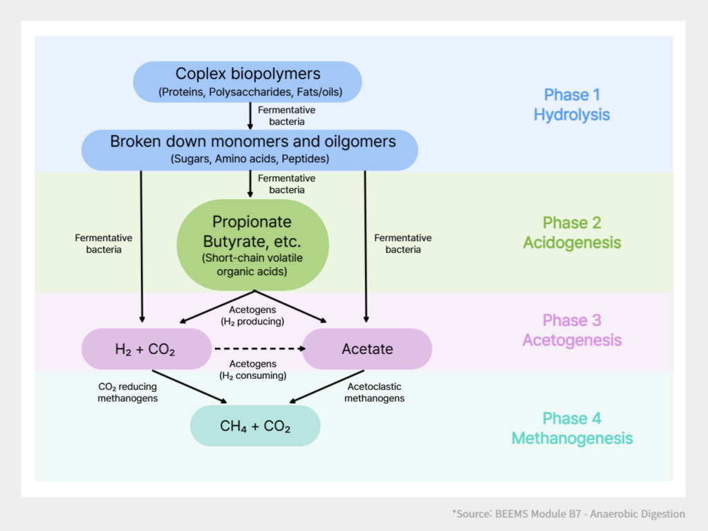 Waste Reimagined : Biogas, the Energy Revolution for Carbon Neutrality