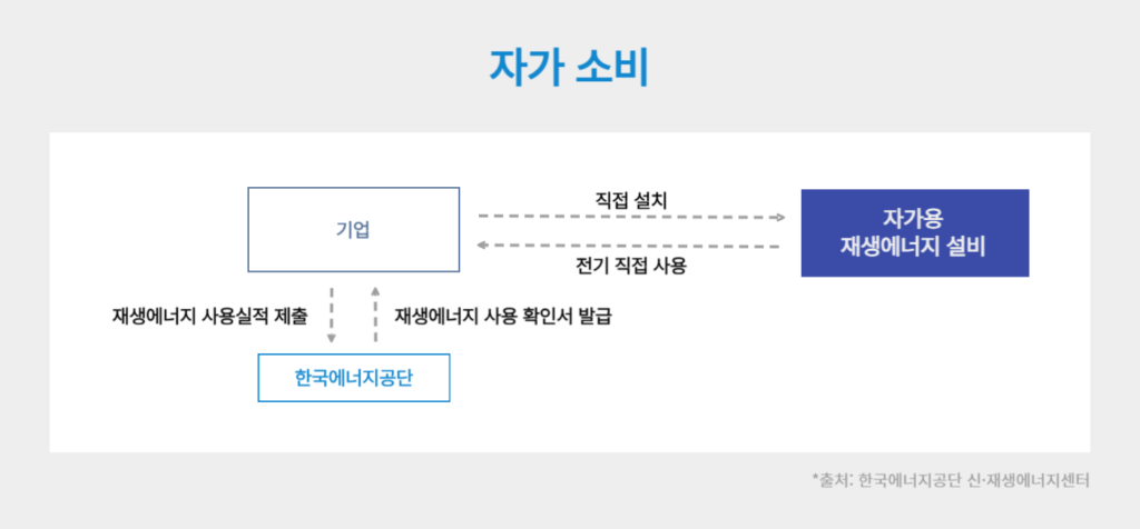 자가 소비