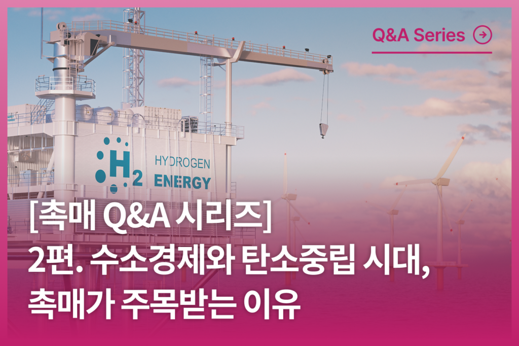 촉매 Q&A 시리즈 - 2편. 수소경제와 탄소중립 시대, 촉매가 주목받는 이유