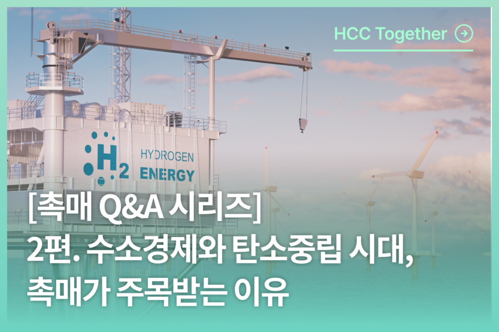 촉매 Q&A 시리즈 - 2편. 수소경제와 탄소중립 시대, 촉매가 주목받는 이유