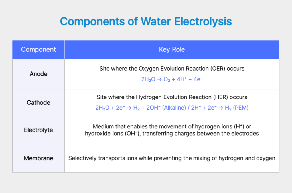 Components of Water Electrolysis