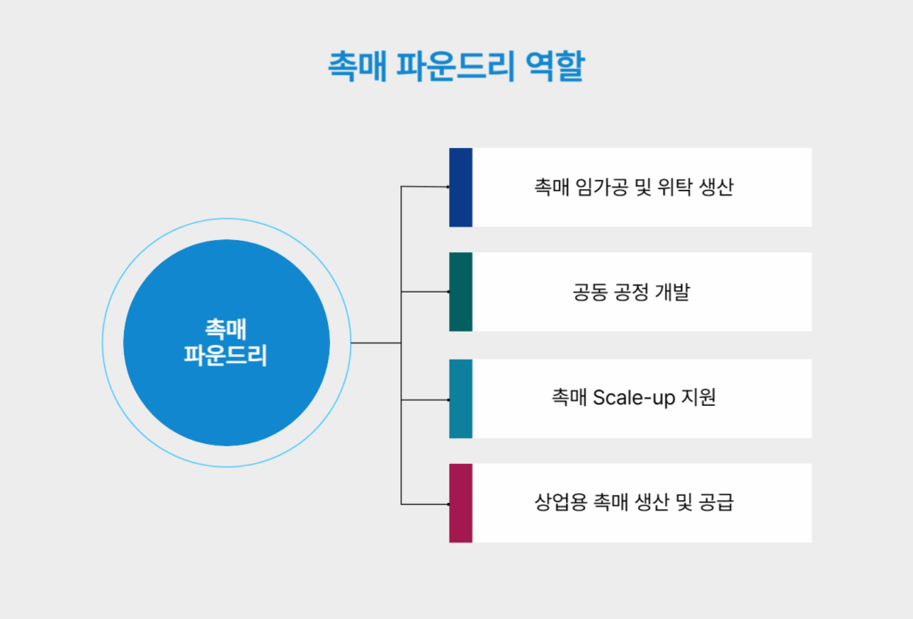 그림2. 촉매 파운드리 역할